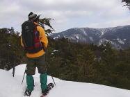 Log house pension Rudder