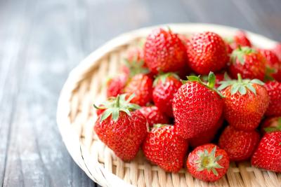 Nagahama Tourist Farm Gonse