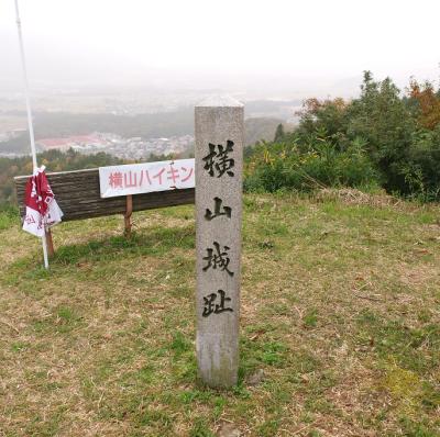 Ruins of Yokoyama Castle (Nagahama City, Shiga Prefecture)