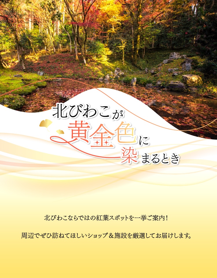 北びわこ見聞録2025 秋号が公開されました!!