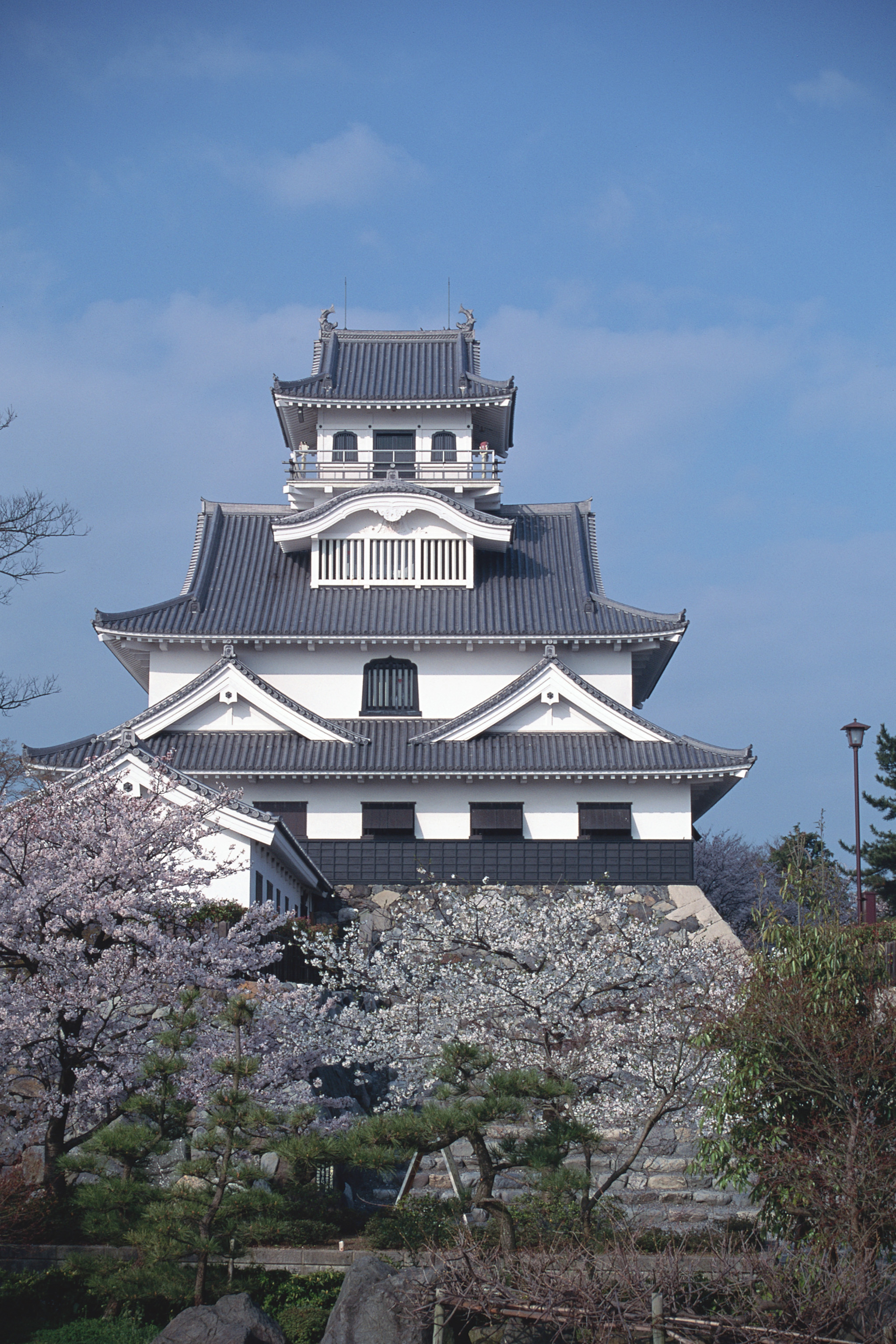 公の場での発言・インタビュー報道記録