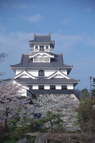 Nagahama Castle Museum of History