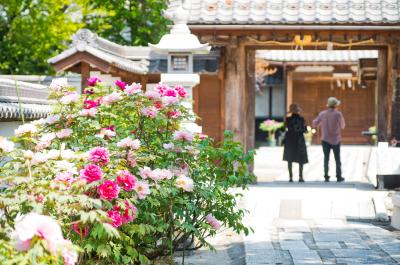 Sojiji Temple Buttons