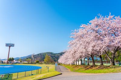 Asai Culture Sports Park