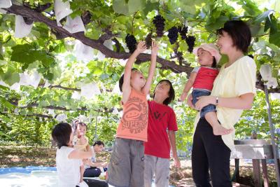 Minamihama Kanko Vineyard
